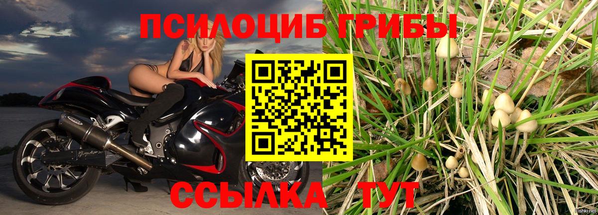 Галлюциногенные грибы мухоморы Пушкино